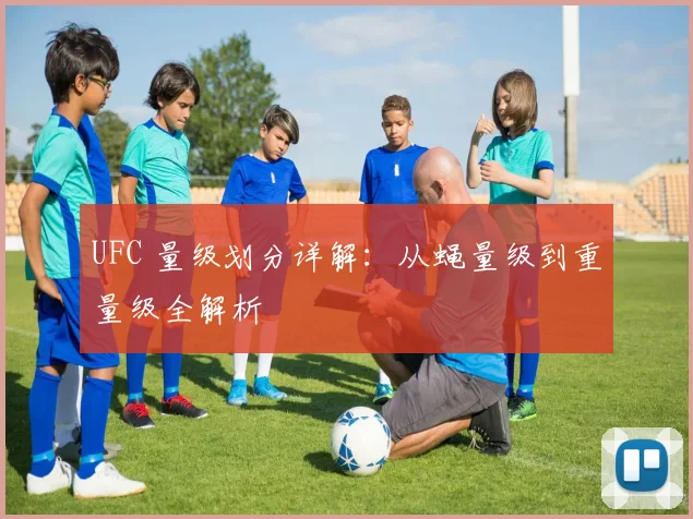 UFC 量级划分详解:从蝇量级到重量级全解析